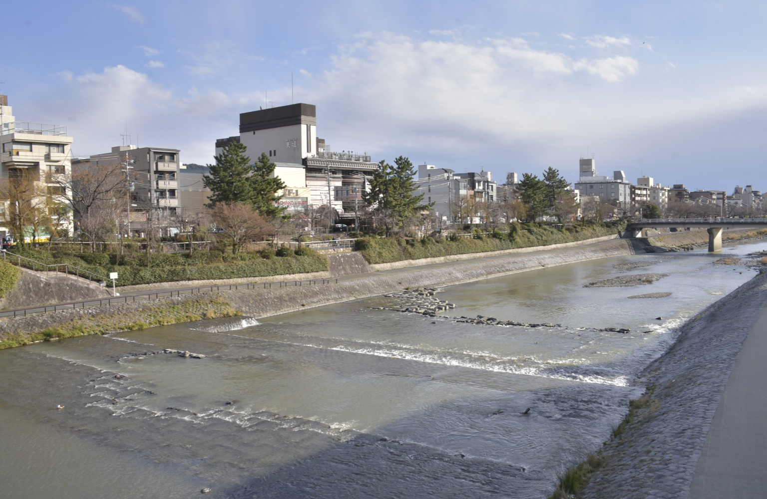 鴨川沿い