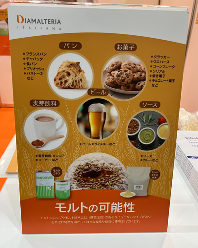モルトの可能性