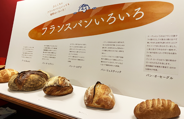 展示「フランパンいろいろ」