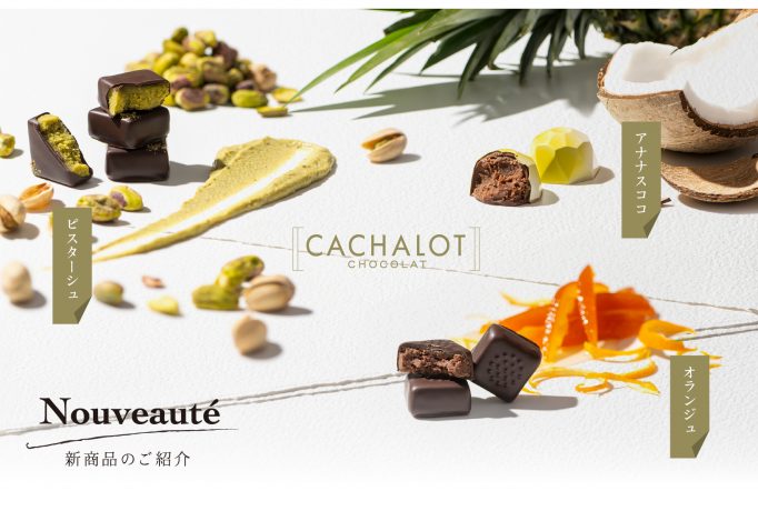 1cachalot-682x460.jpg