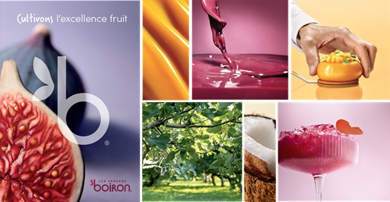 ボワロンの新しいスローガン「Cultivons l’excellence fruit(果実の卓越性を育もう)」